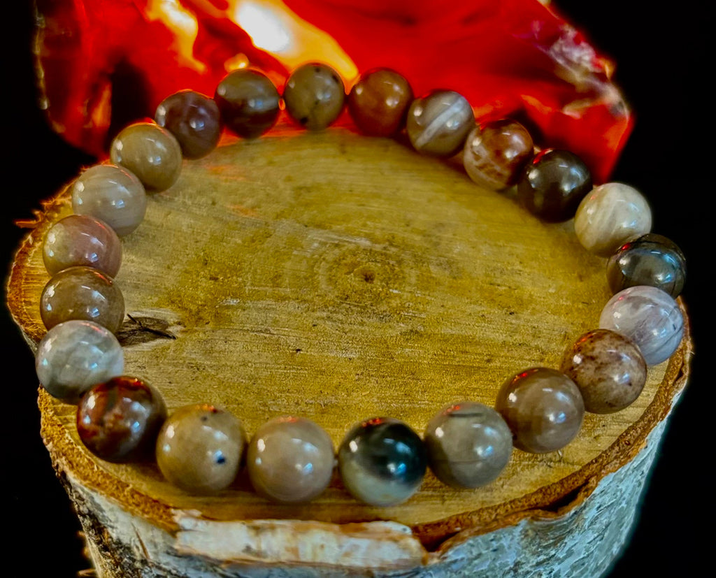 Petrified Wood Bracelet – 8mm Beads, Medium Wrists