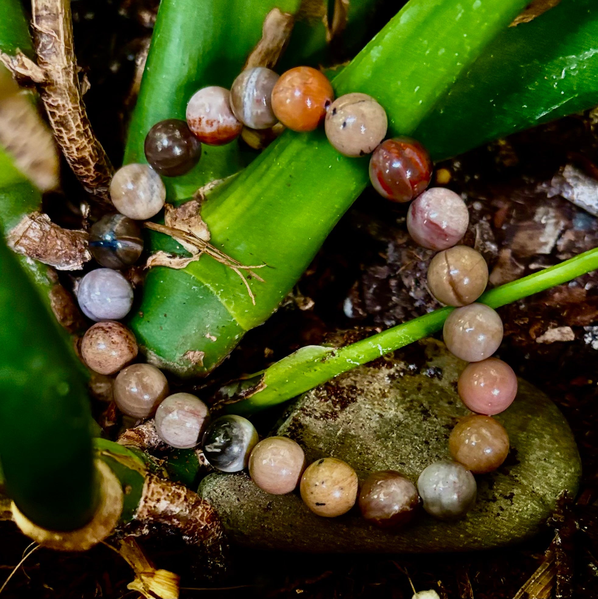 🌳 Petrified Wood Bracelet – 8mm Beads, Medium Wrists