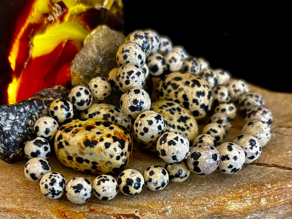 Dalmatian Jasper Gemstone Bracelet for Joy & Grounding | 8mm, 10mm, 12mm Beads