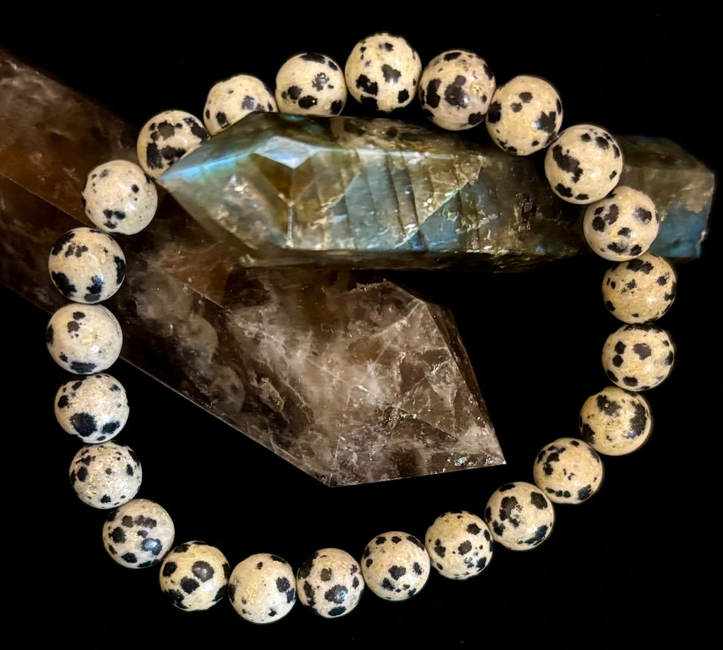 Dalmatian Jasper Gemstone Bracelet for Joy & Grounding | 8mm, 10mm, 12mm Beads