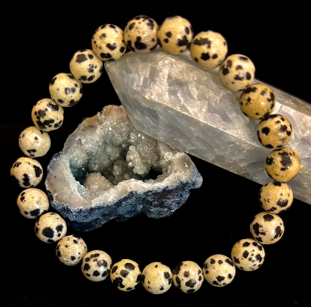 Dalmatian Jasper Gemstone Bracelet for Joy & Grounding | 8mm, 10mm, 12mm Beads