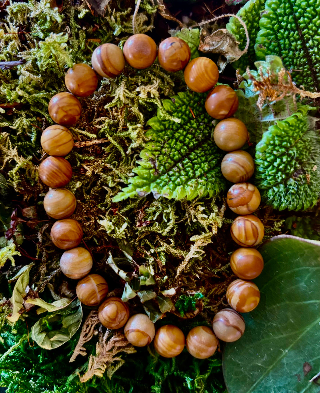 Wood Lace Agate Crystal Healing Bracelet for Grounding Energy