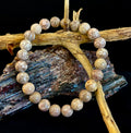 Fossil Coral Bracelet – Natural Grounding Stone for Stability & Calm