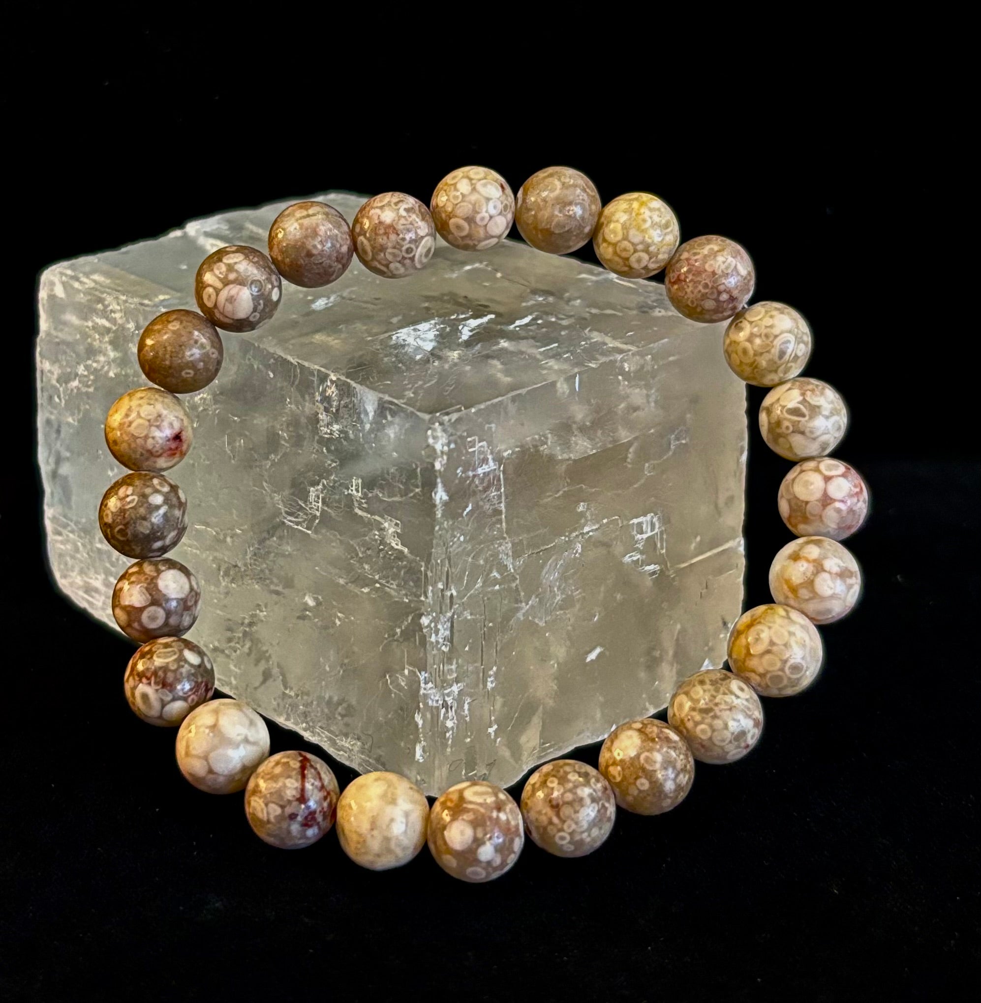 Fossil Coral Bracelet – Natural Grounding Stone for Stability & Calm