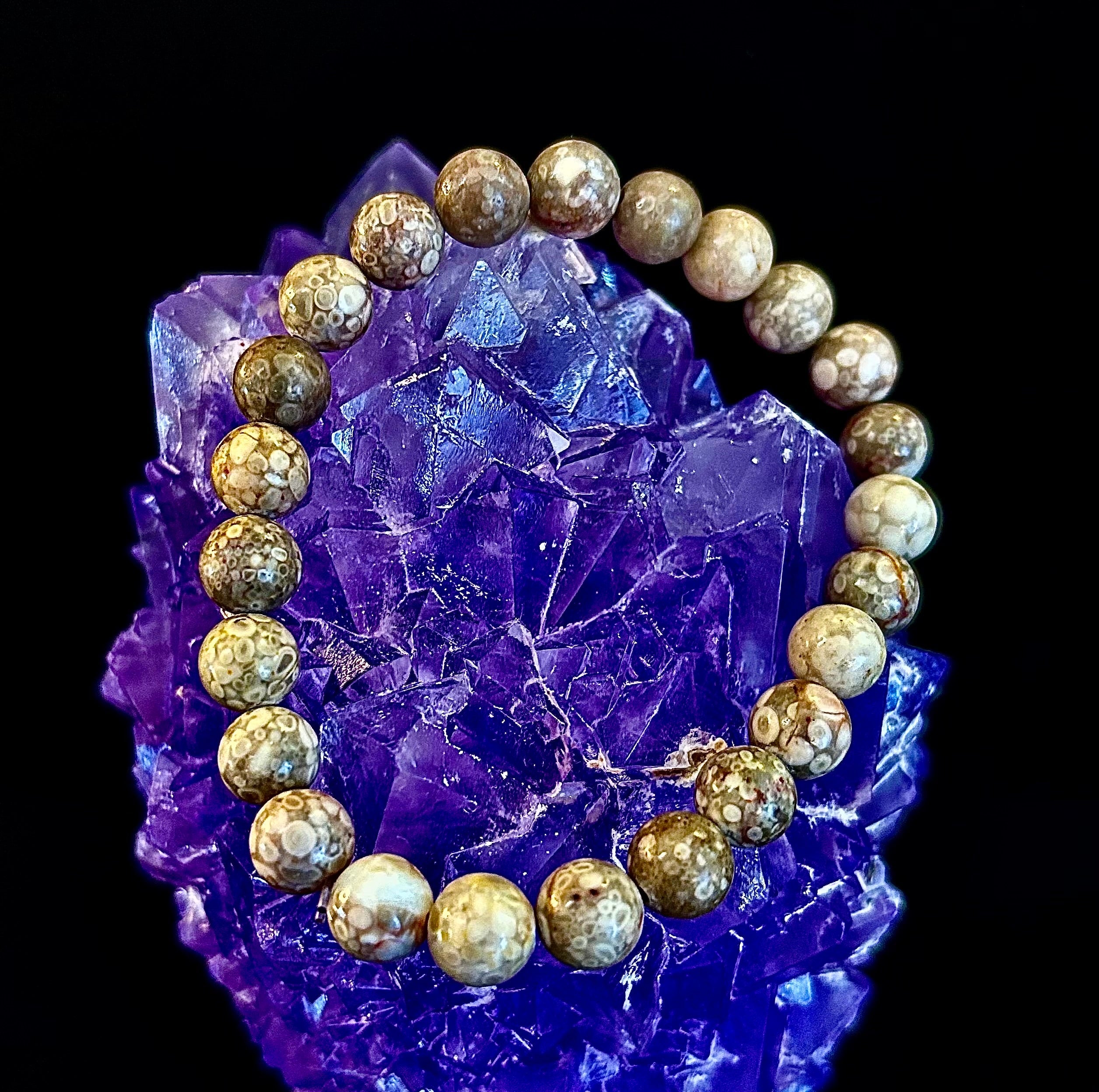 Fossil Coral Bracelet – Natural Grounding Stone for Stability & Calm