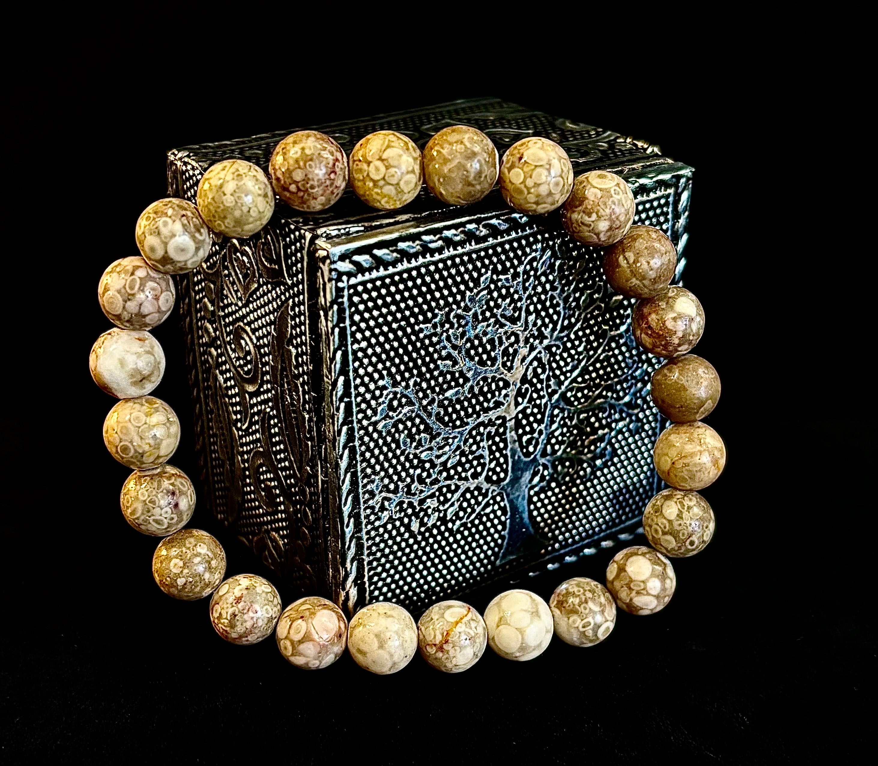 Fossil Coral Bracelet – Natural Grounding Stone for Stability & Calm