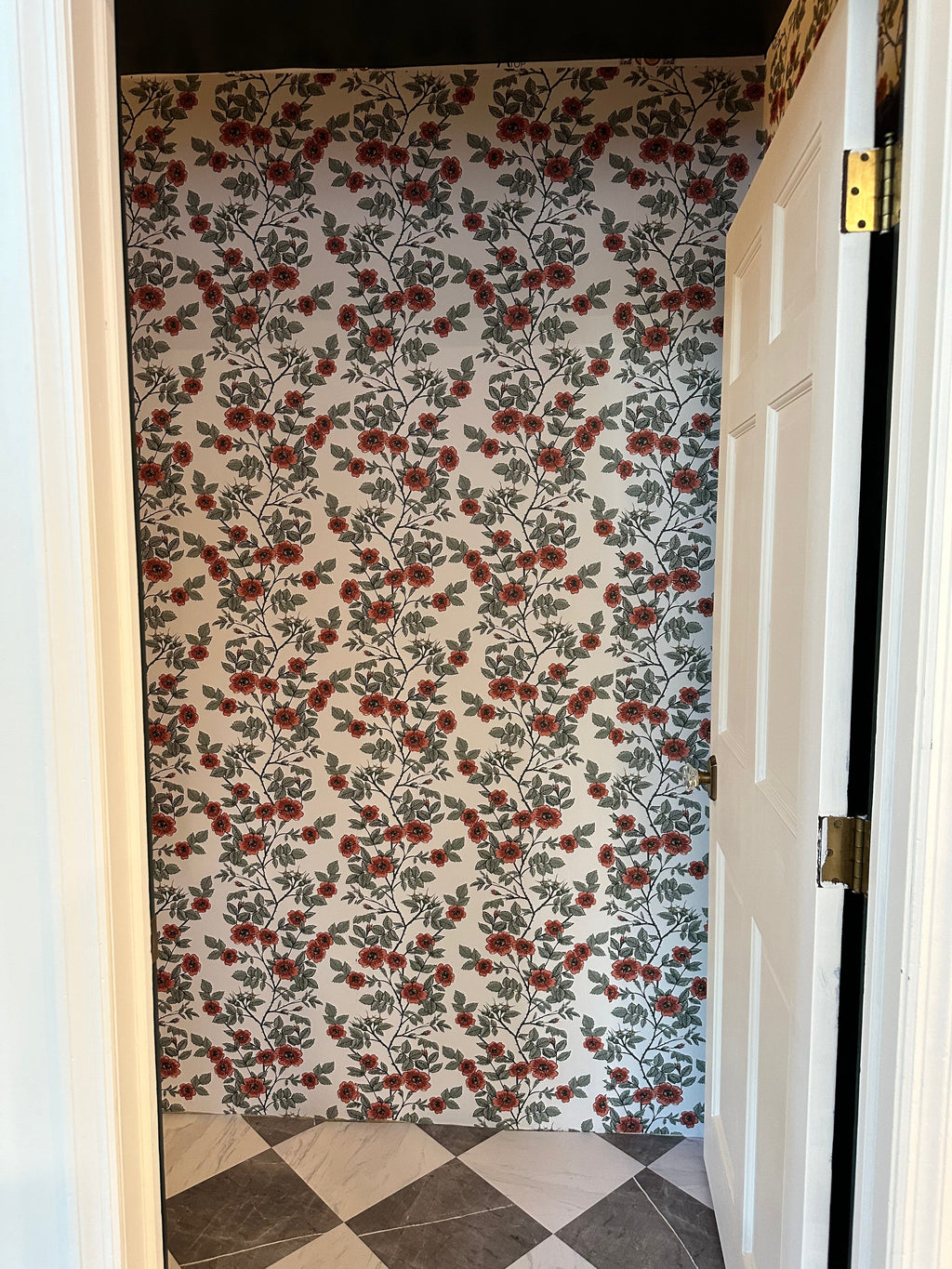 Shia Floral Removable Wallpaper - Vintage Botanical Red & Sage
