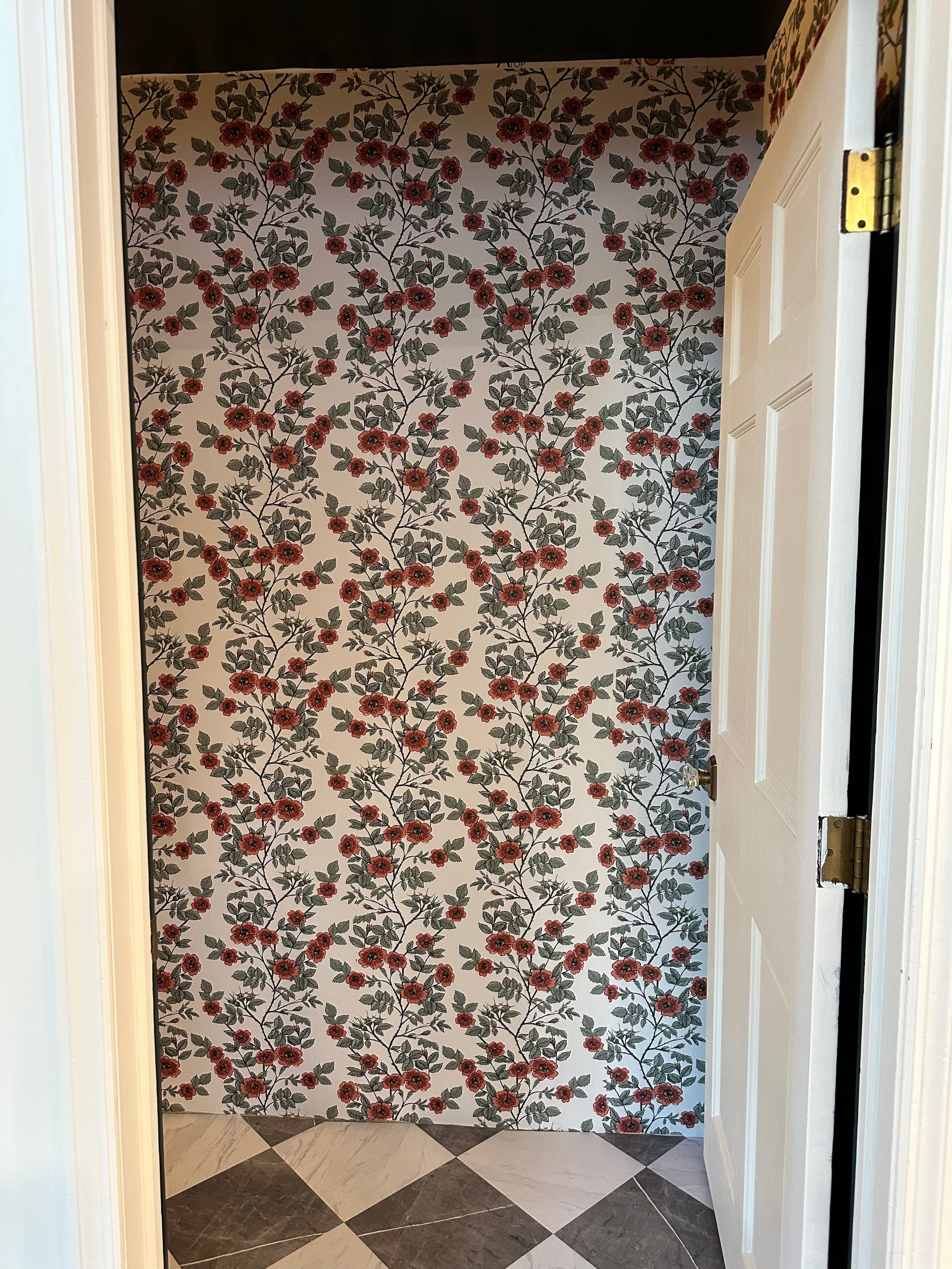 Shia Floral Removable Wallpaper - Vintage Botanical Red & Sage