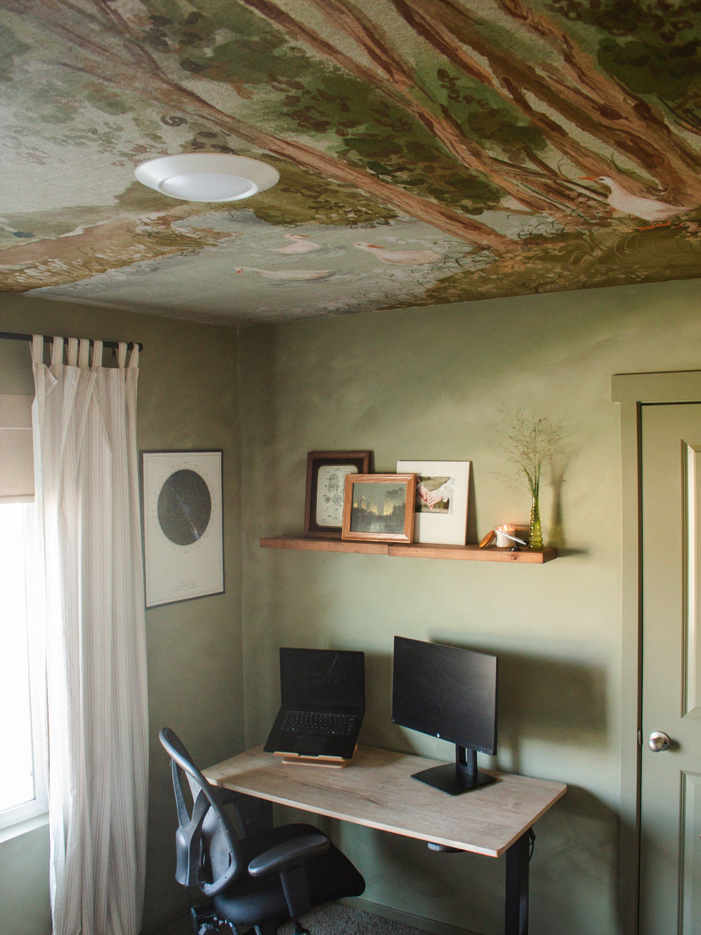 Nils Removable Peel and Stick Wallpaper by Celeste Clark