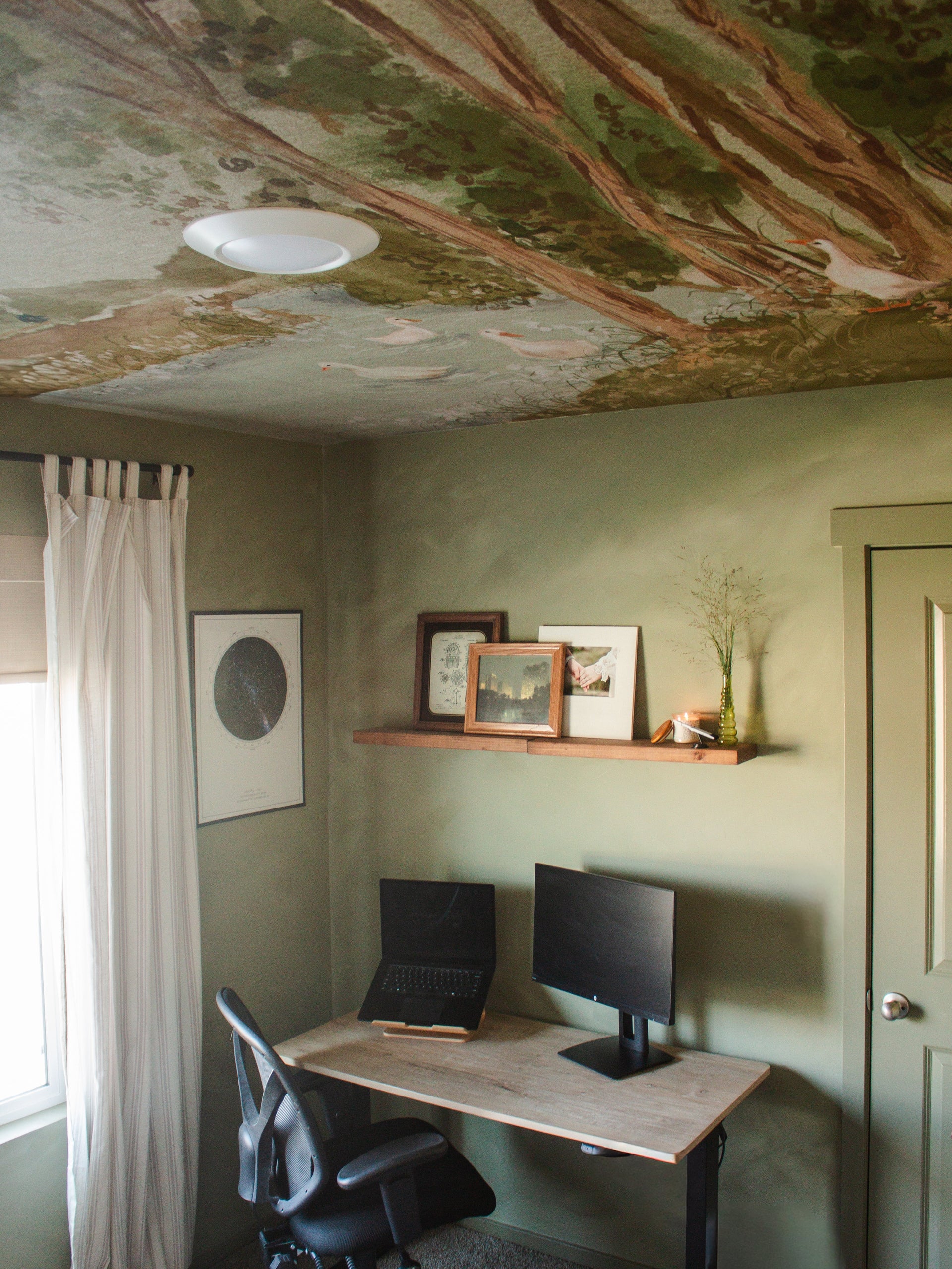 Nils Removable Peel and Stick Wallpaper by Celeste Clark