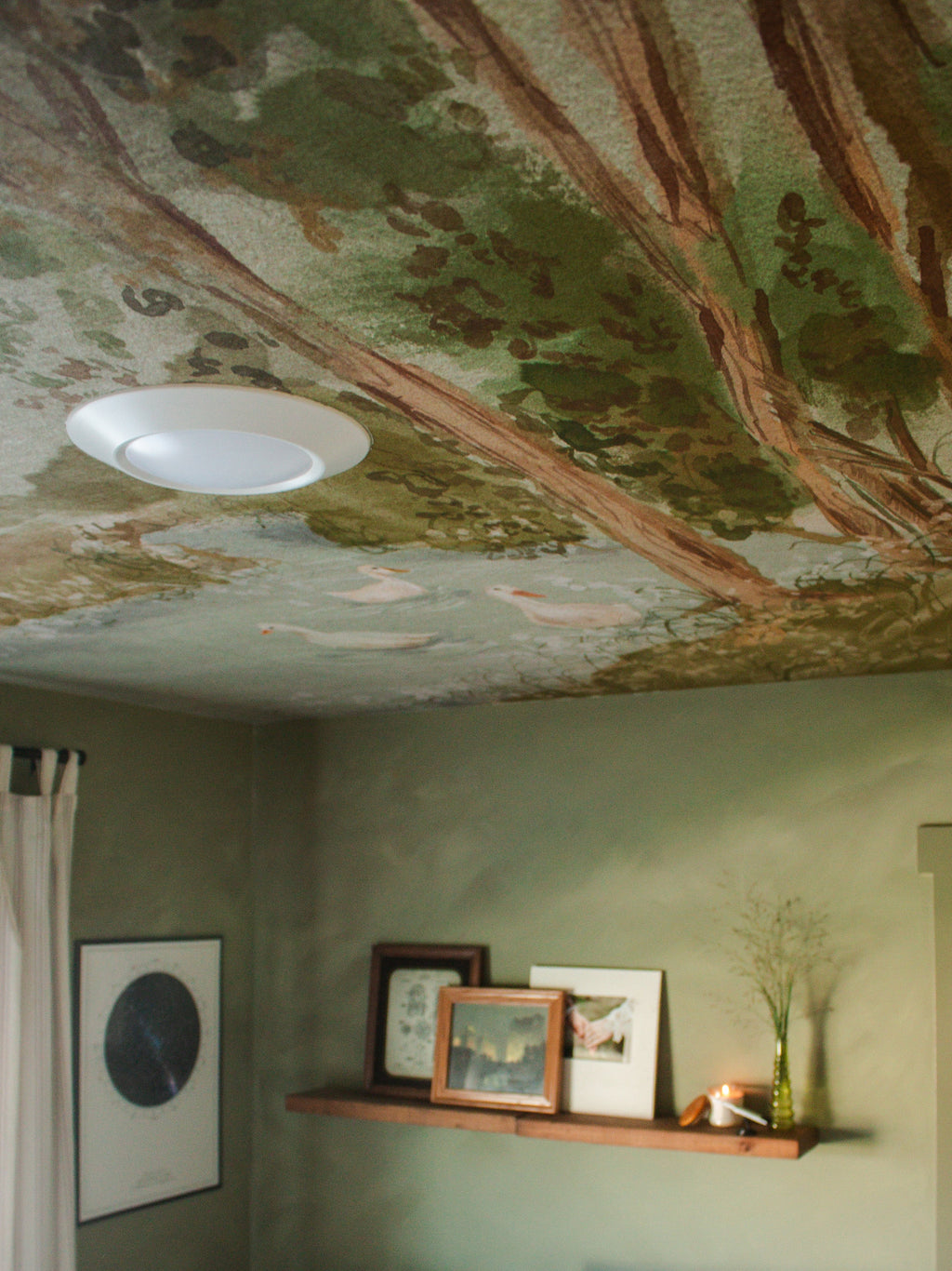 Nils Removable Peel and Stick Wallpaper by Celeste Clark
