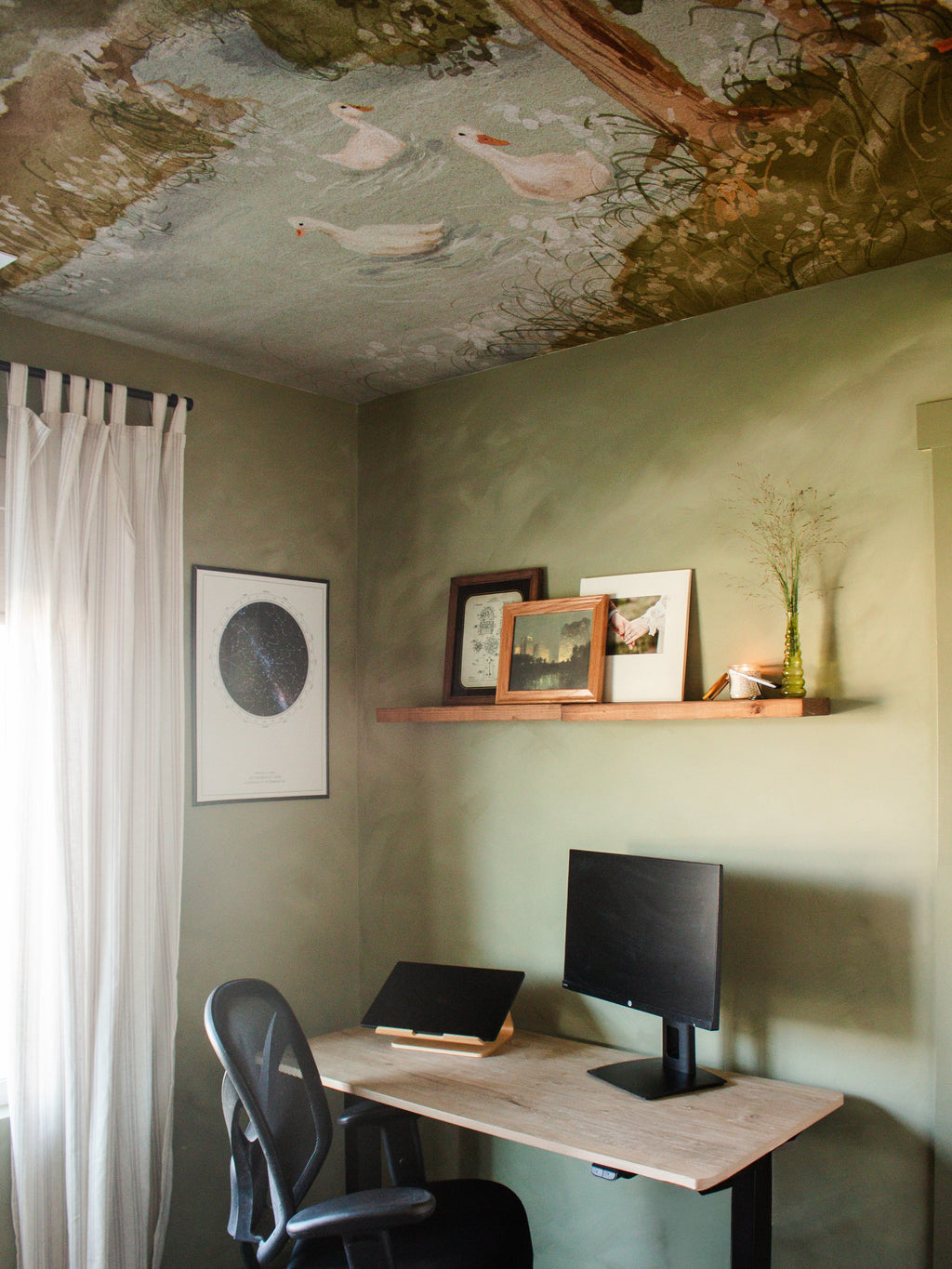 Nils Removable Peel and Stick Wallpaper by Celeste Clark