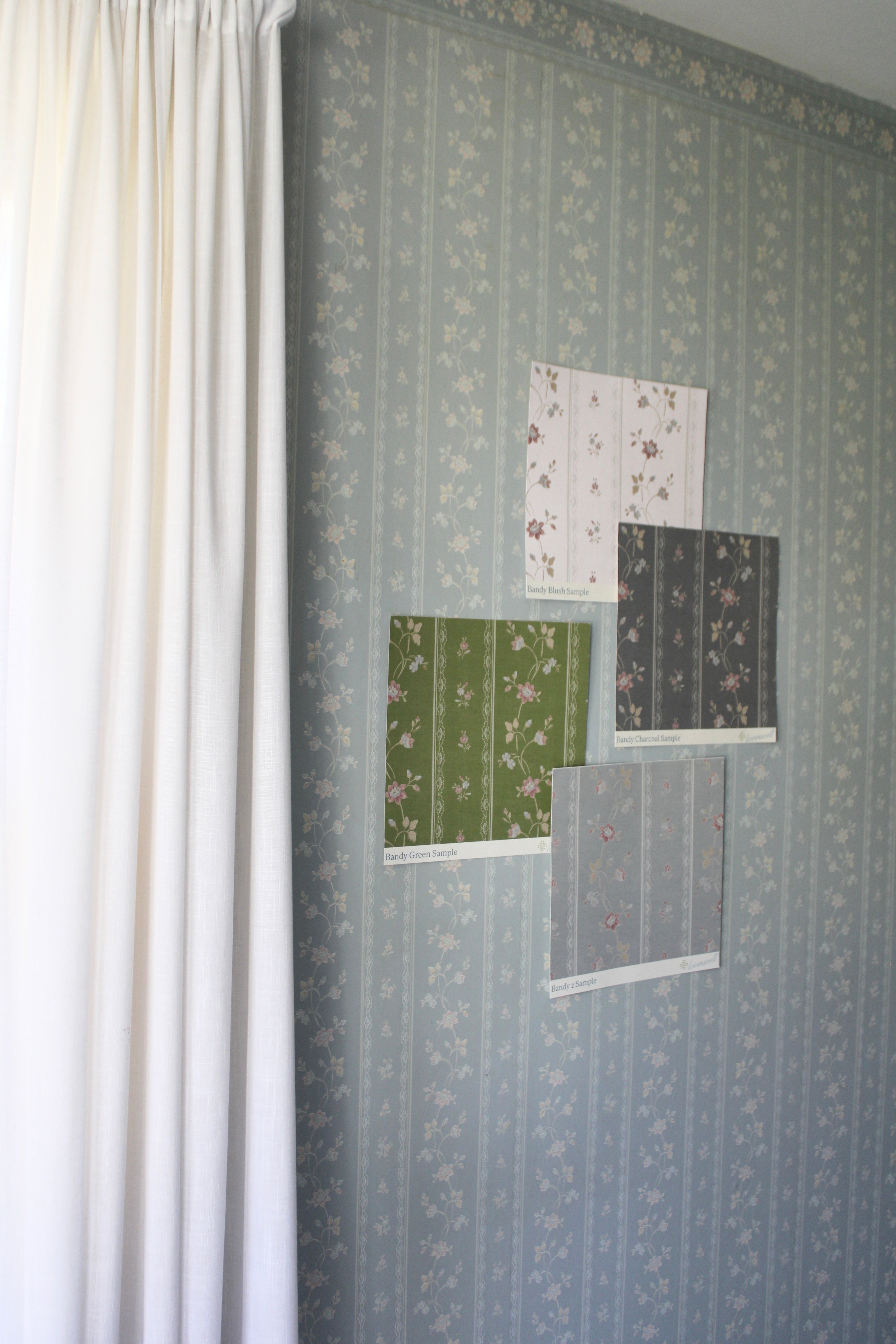 Bandy Wallpaper by Jensen Lang x Aubrey Fairchild