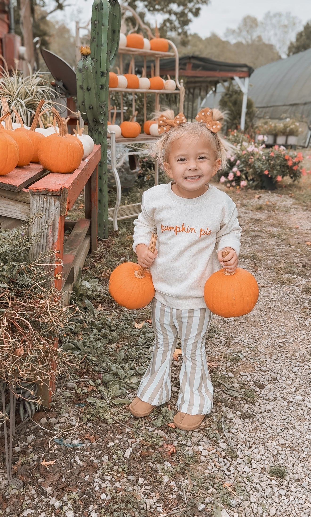 Pumpkin Pie Script Pullover