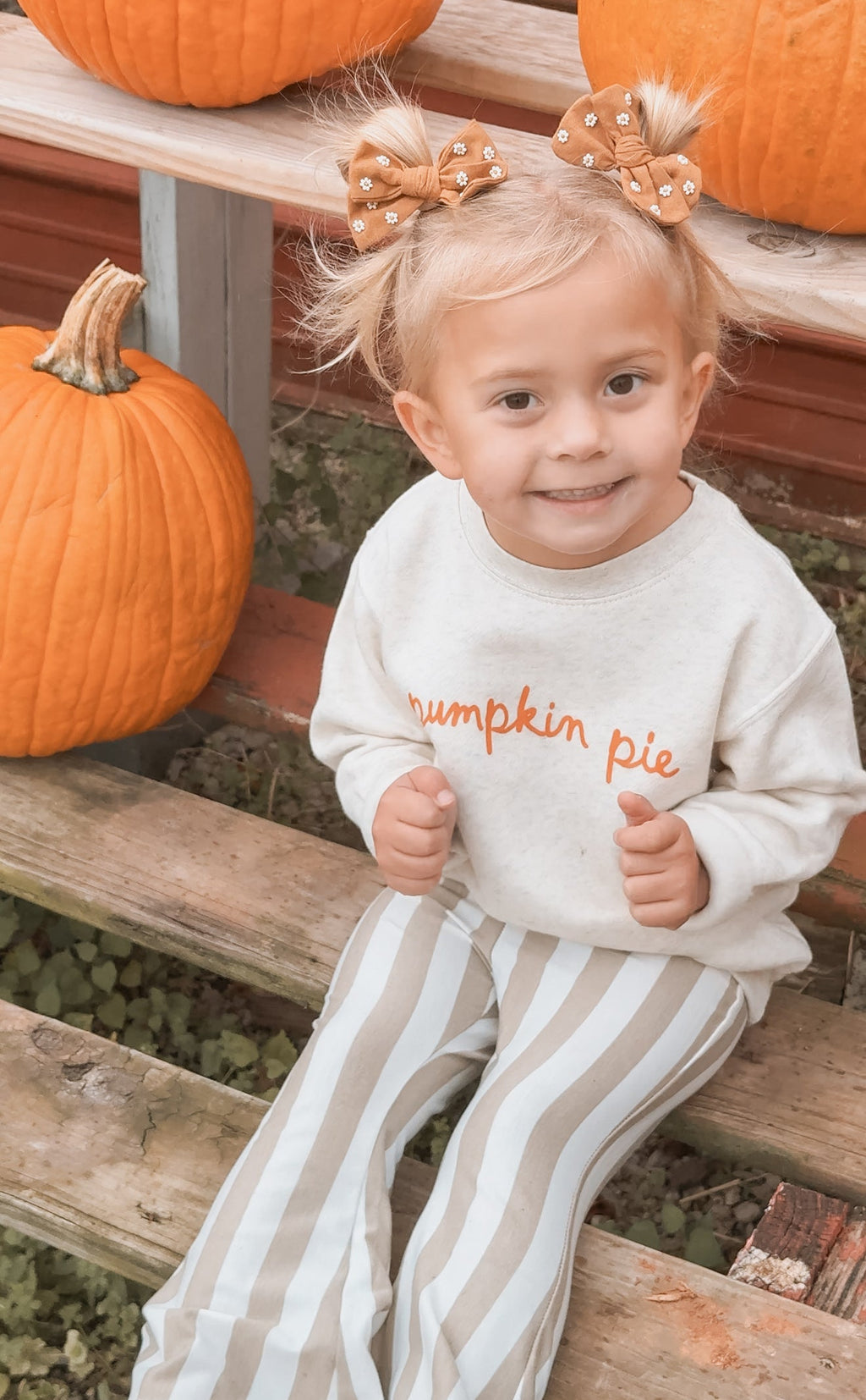 Pumpkin Pie Script Pullover