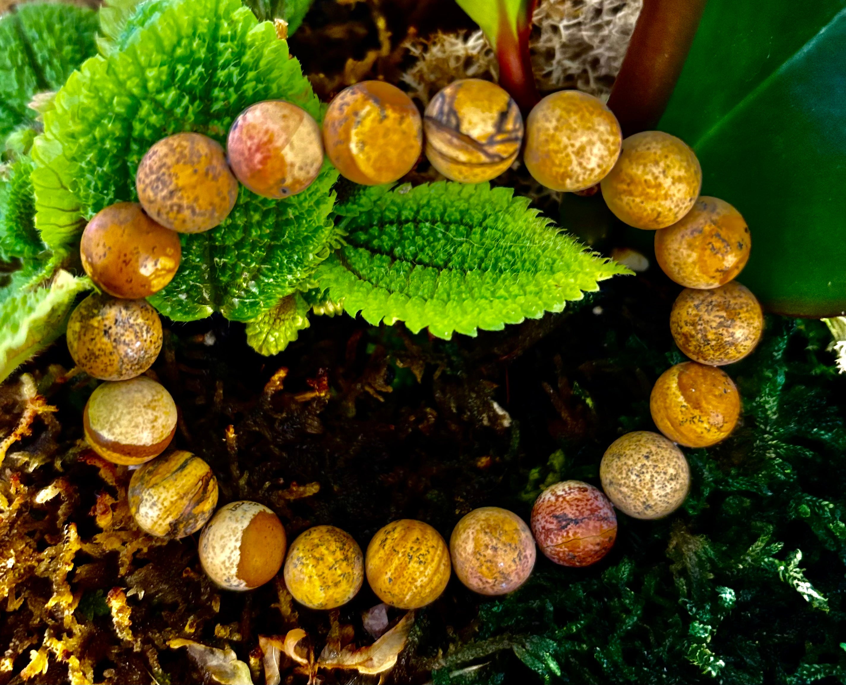 Matte Picture Jasper Power Bracelet – 10mm Grounding & Strength Stone Bracelet