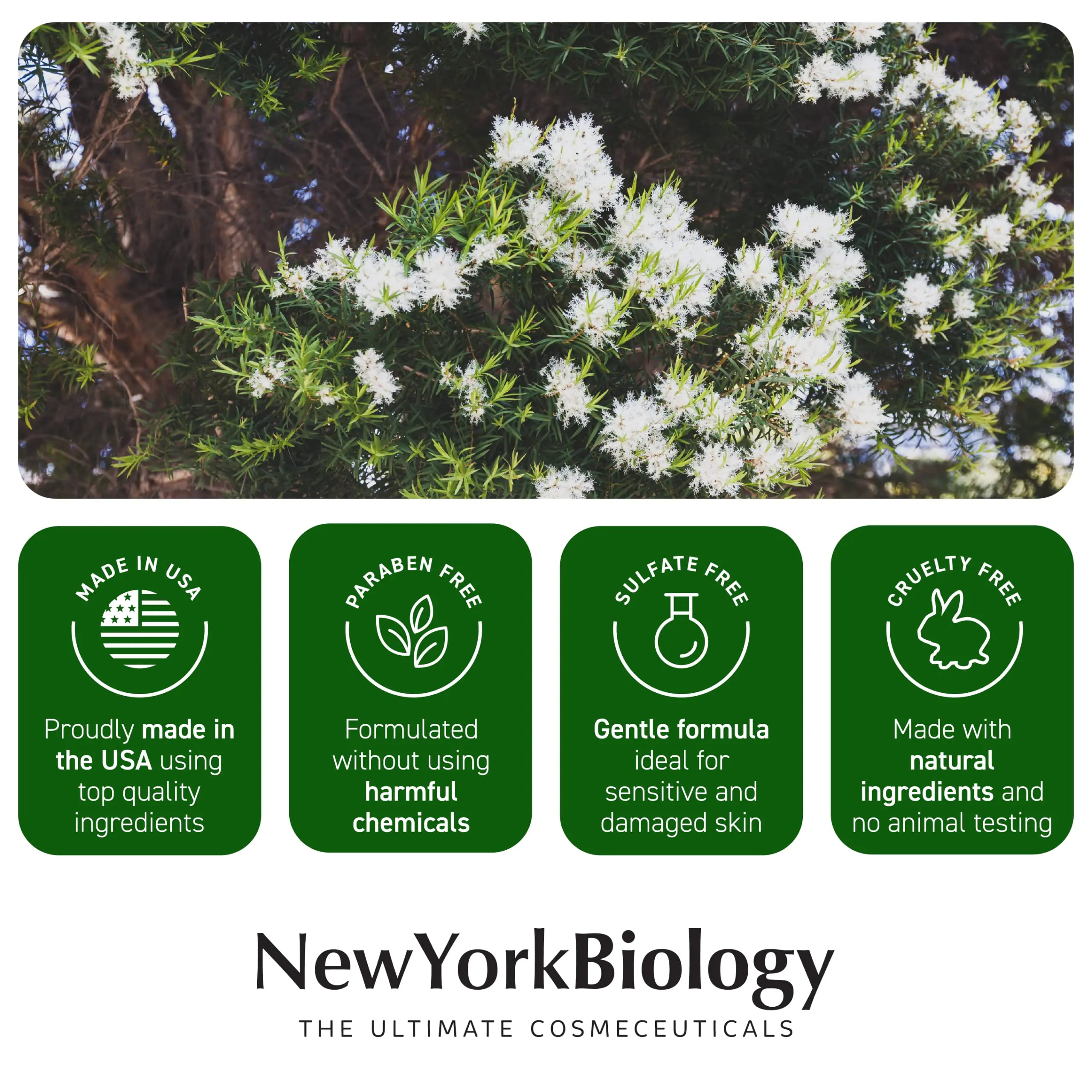 New York Biology Tea Tree Oil Foot Cream for Dry Cracked Feet, Athletes Foot, Nail Fungus, Jock Itch, Ringworm, Cracked Heels and Itchy Skin - Foot Cream - 8 oz Tea Tree - 8.00 Ounce (Pack of 1) 8.00 Ounce (Pack of 1)