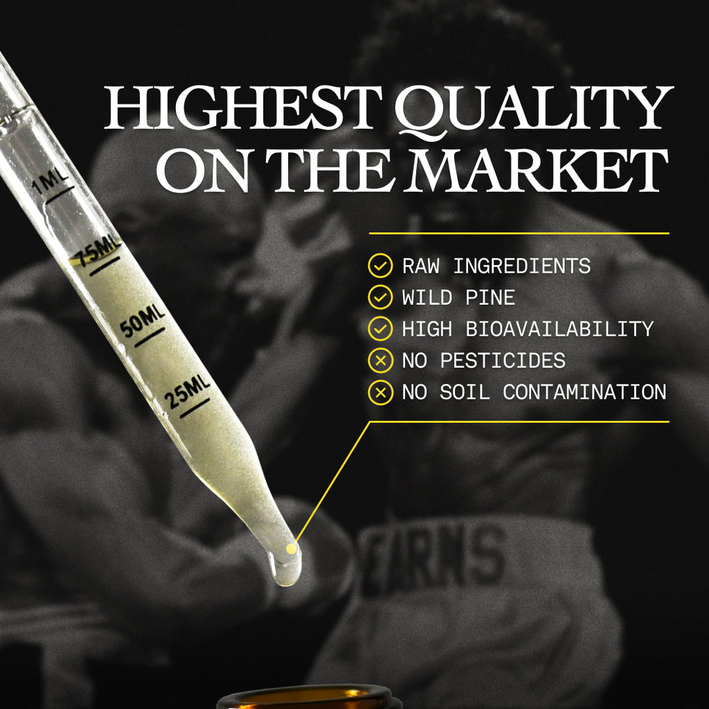 Wild Harvested Canadian Pine Pollen Liquid Extract 120ml - Image 6