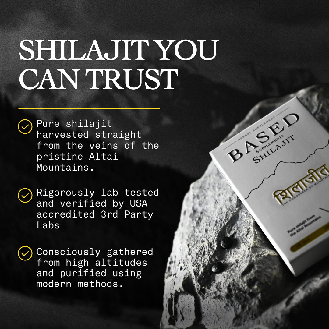 Pure Shilajit Resin Tablets 200mg Altai Mountain Supplement - Image 4