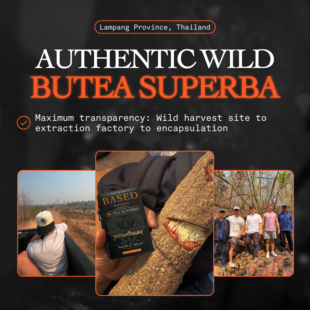 Butea Superba Dietary Supplement 4:1 Extract 30 Capsules - Image 5
