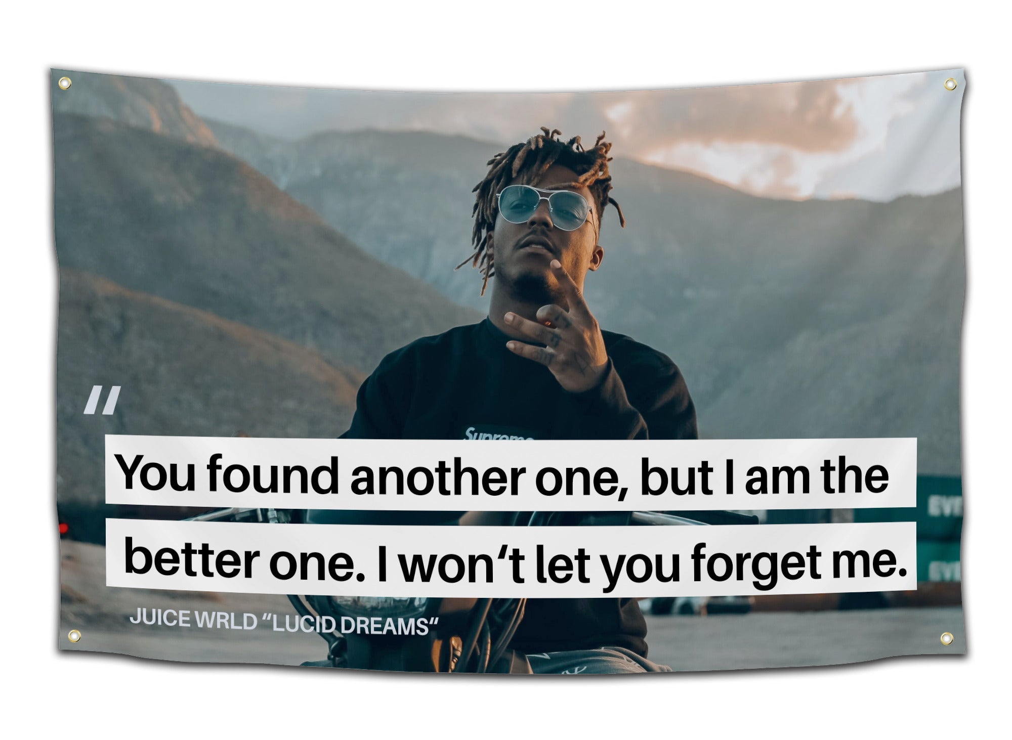 I Won't Let You Forget Me