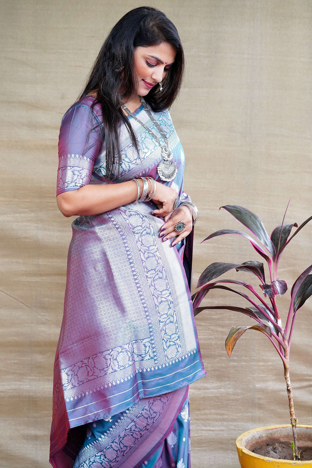 Grey Soft Banarasi Silk Saree with Zari Woven Border & Blouse