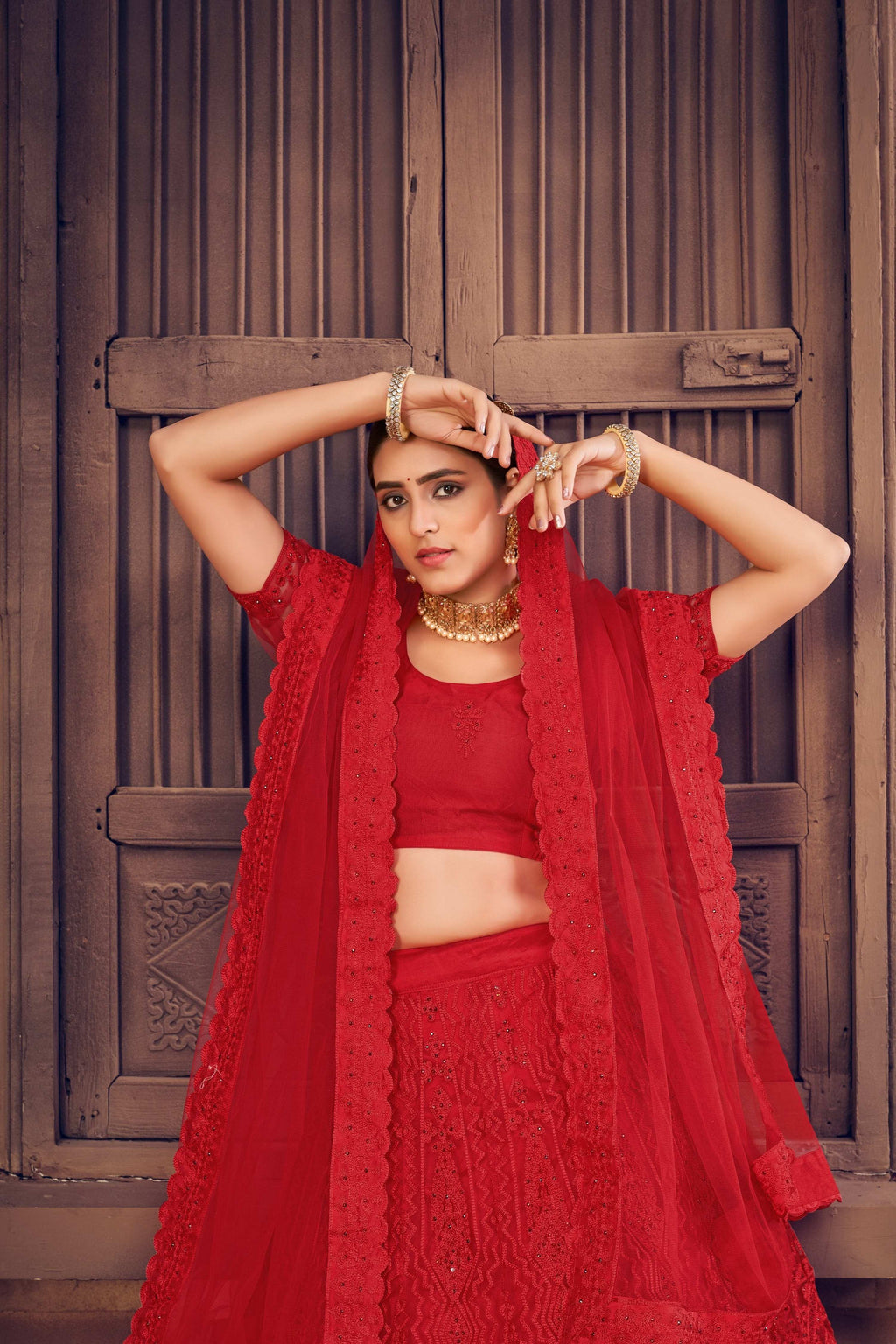 Women's Red Net Thread Embroidered Designer Lehenga Choli Set