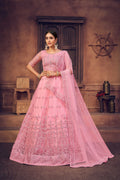 Little girl wearing a beautiful baby pink net lehenga choli with intricate thread embroidery.