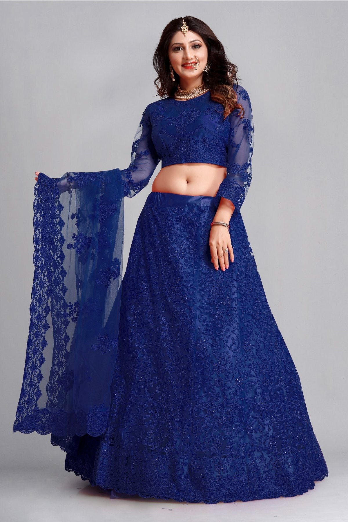 Elegant blue net lehenga choli set featuring intricate thread embroidery