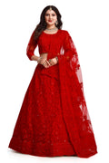 Vibrant red net lehenga choli set with detailed thread embroidery and flowing silhouette.