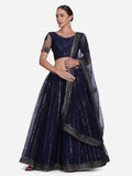 Navy Blue Net Lehenga Choli with sequins work and dupatta