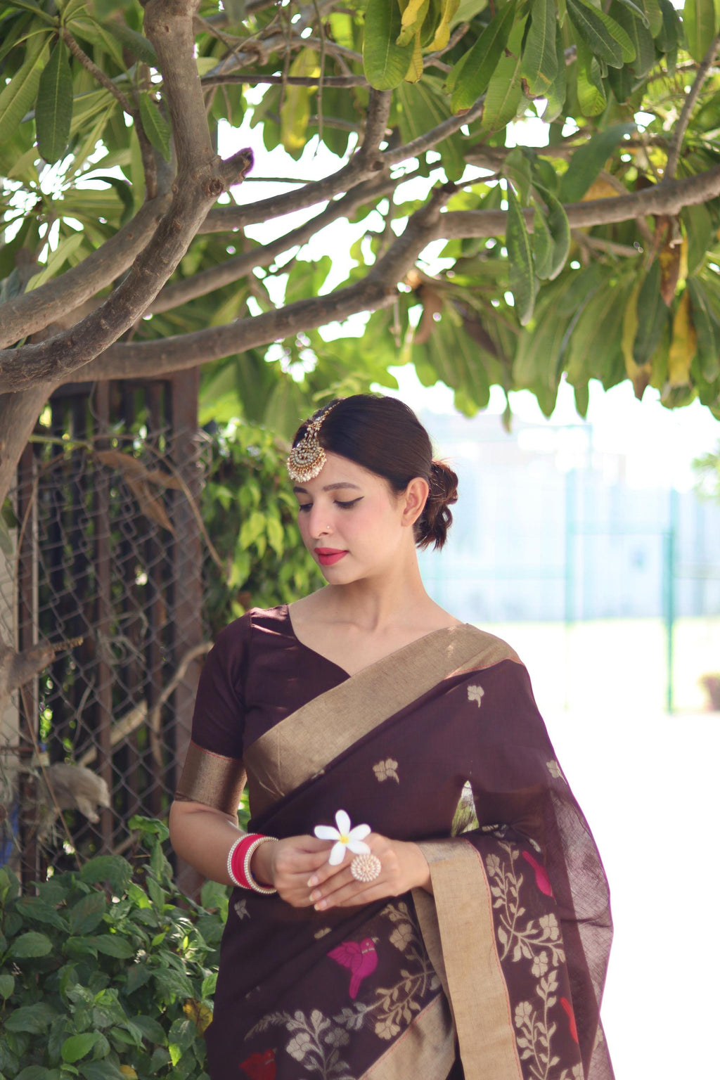 Coffee Linen Silk Saree with Zari Woven Border and Unstitched Blouse