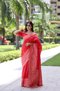 Red handloom raw silk saree with traditional weaving pallu detail