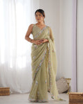 Pista Green net saree with sequins embroidery and silk blouse piece