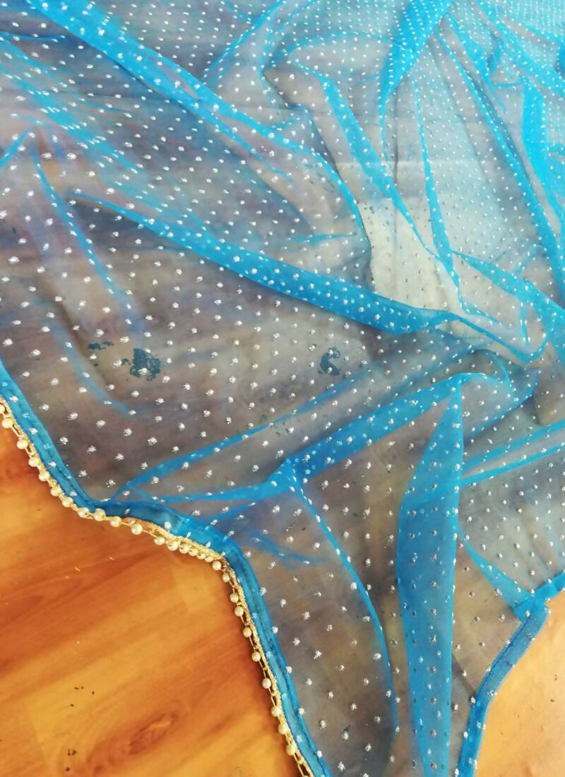 Blue Georgette Lehenga Choli with 3MM Sequins and Thread Embroidery