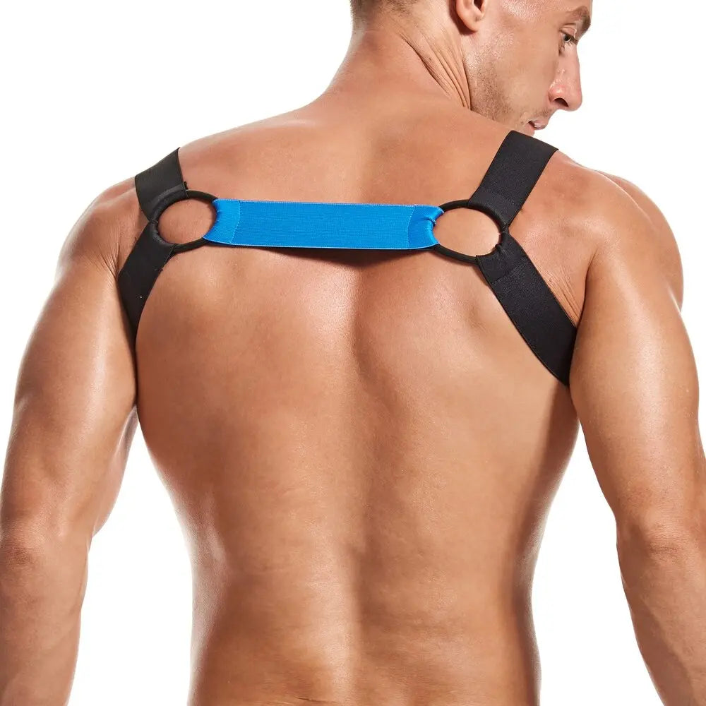 Jockmail Double Band Harness
