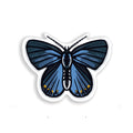 Karner Blue Sticker
