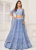 Sky blue butterfly net designer lehenga with thread embroidery