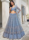 A sky blue butterfly net lehenga with intricate embroidery and matching blouse and dupatta set.