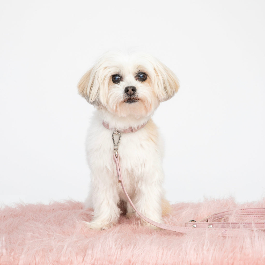 Love Pink Cork Leather Collar