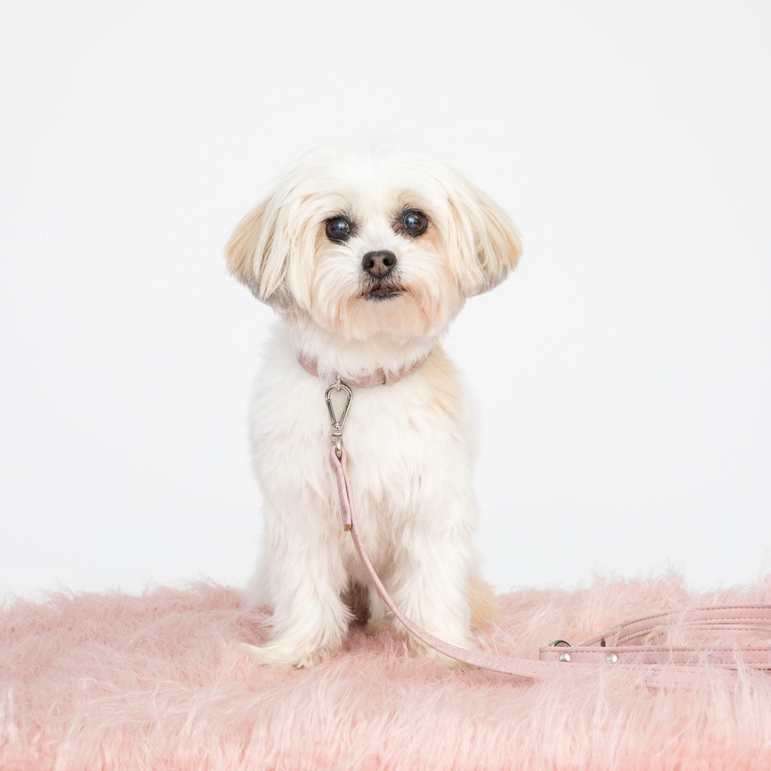 Love Pink Cork Leather Collar