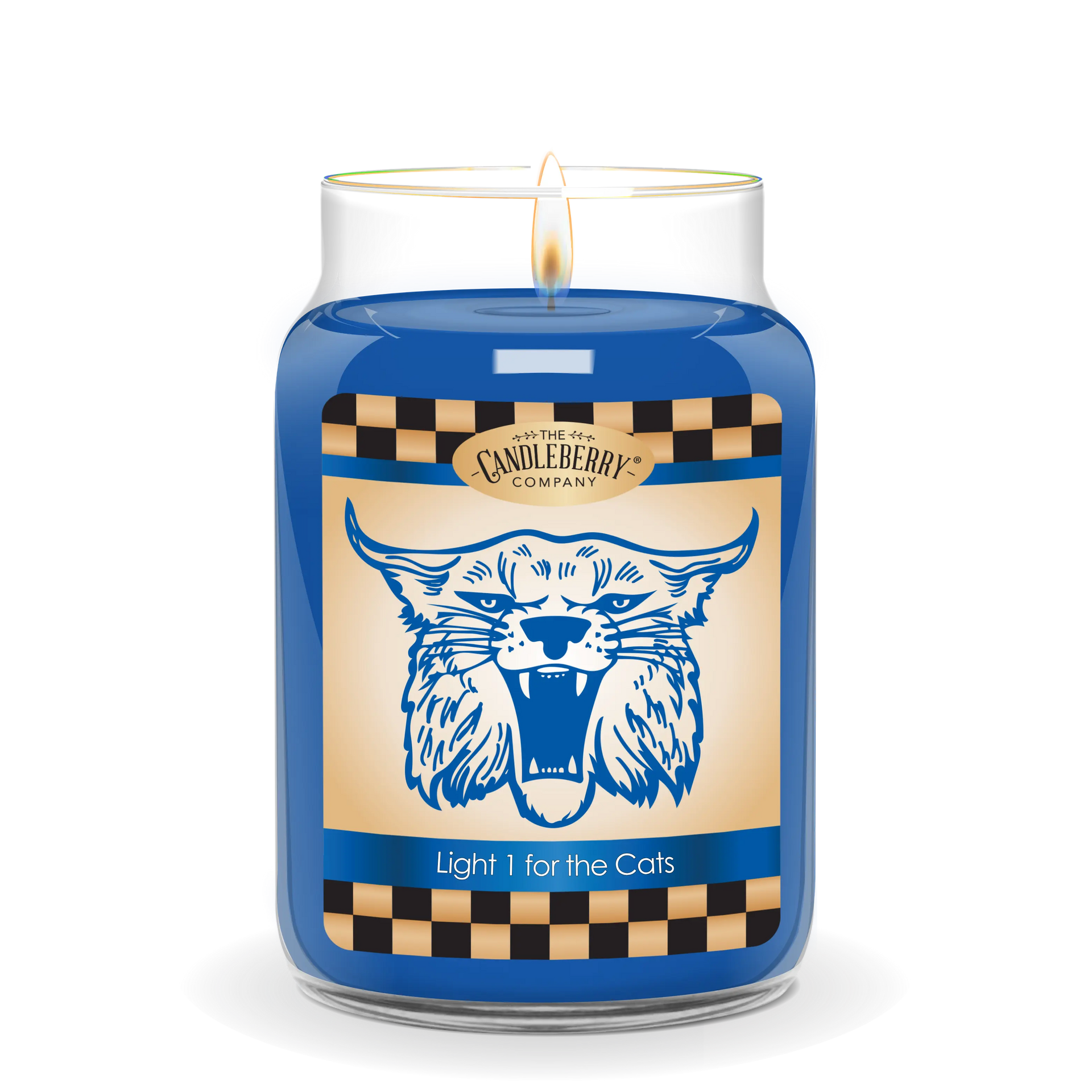 Light One For The Cats™, Large Jar Candle (Collective)
