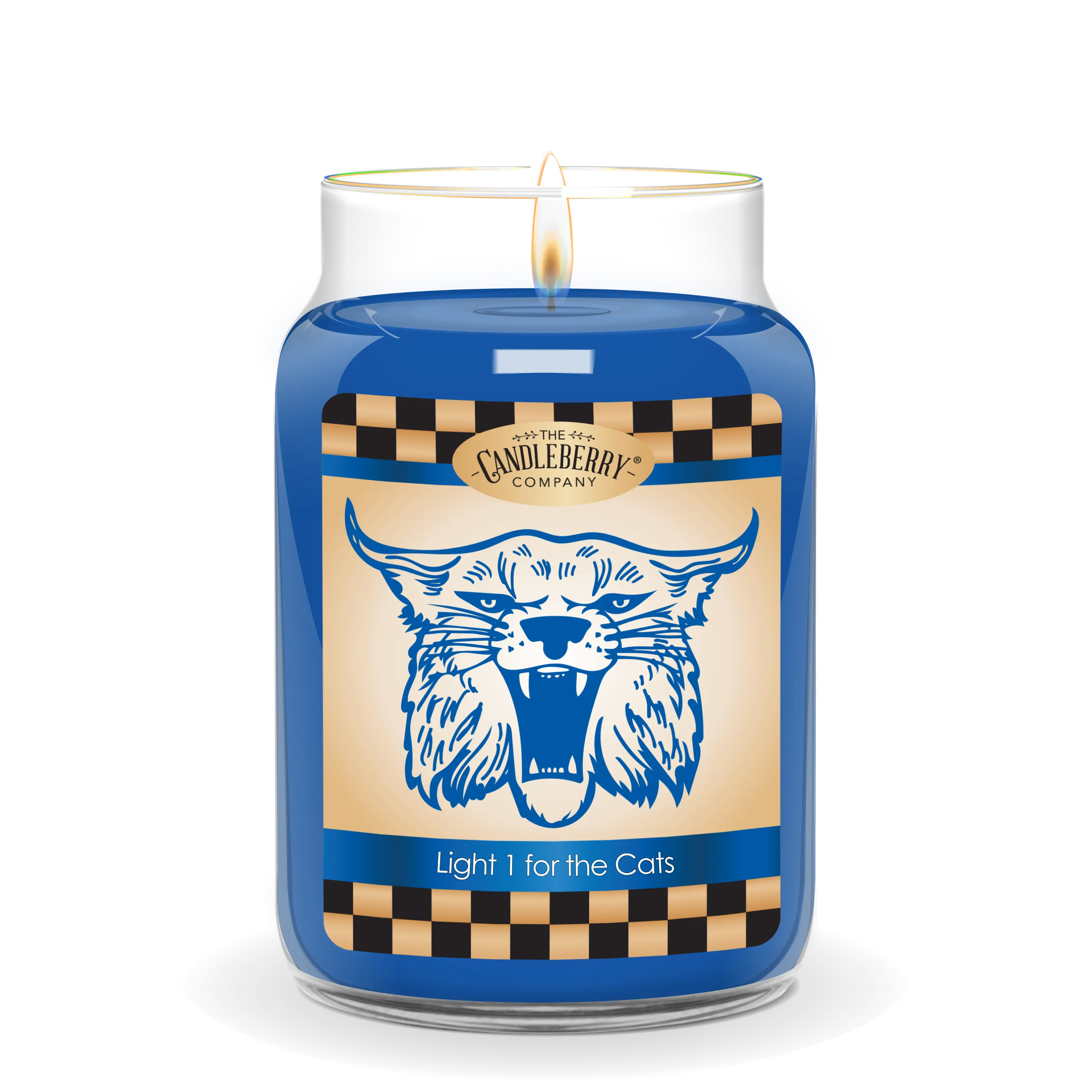 Light One For The Cats™ Large Jar Candle 20-26oz
