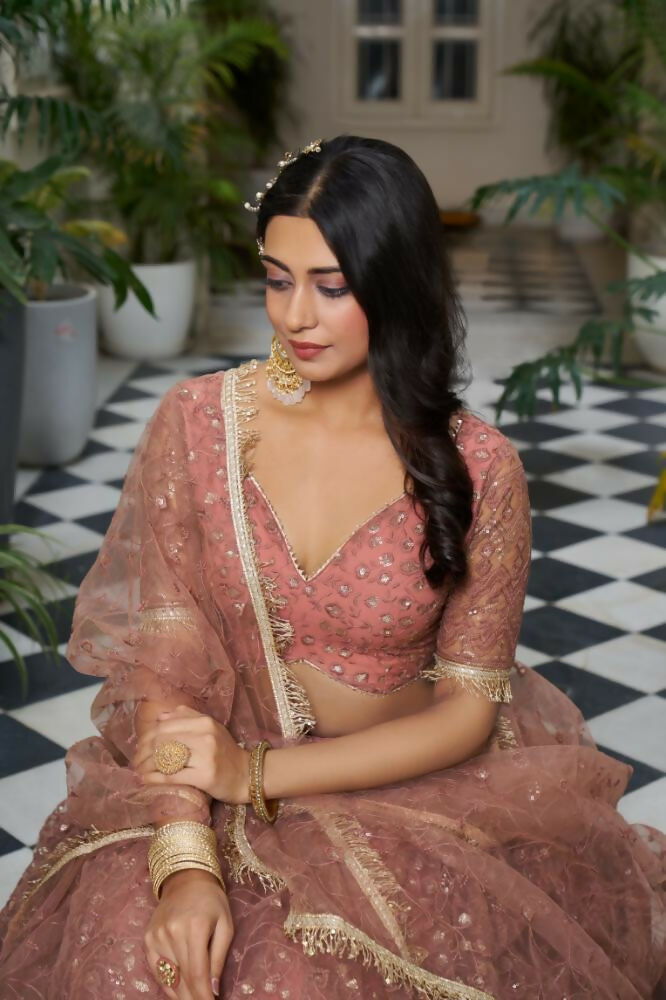 Rust Butterfly Net Lehenga Choli With Cotton Thread & Sequence Work