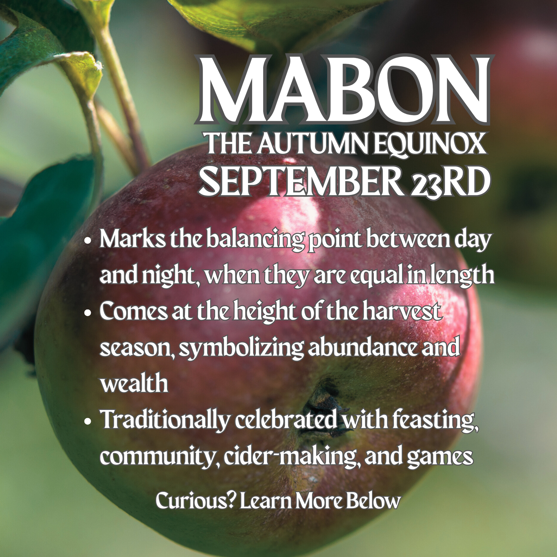 Mabon Diffuser Oil - McIntosh Apples, Granny Smiths, Harvest Spices, and Fresh Apple Pie