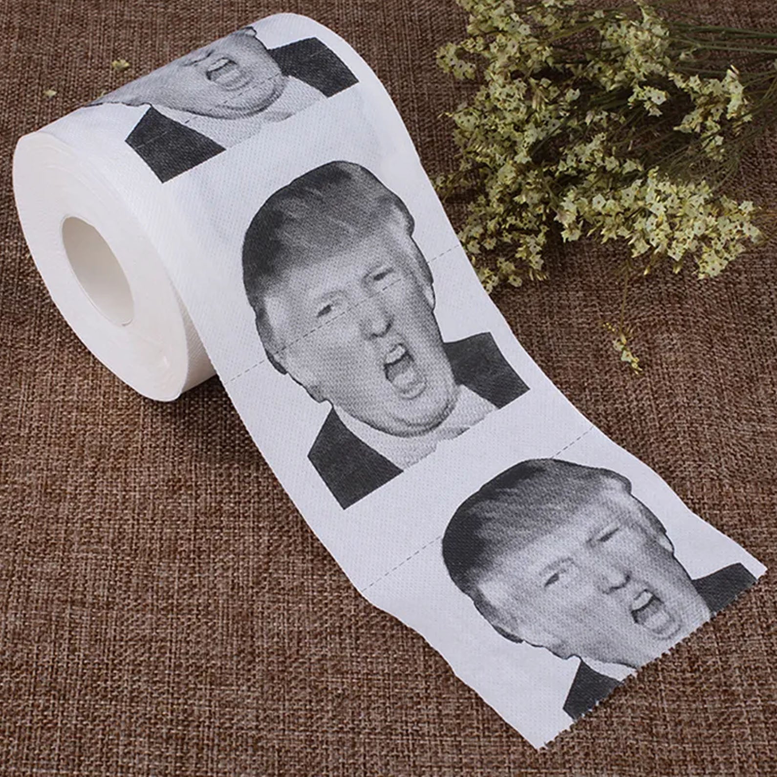 Donald Trump Toilet Paper Roll | President Toilet Paper Roll | 8647 Anti Trump Gift 682166
