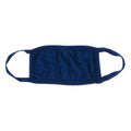 Adult Mask in Flag Blue