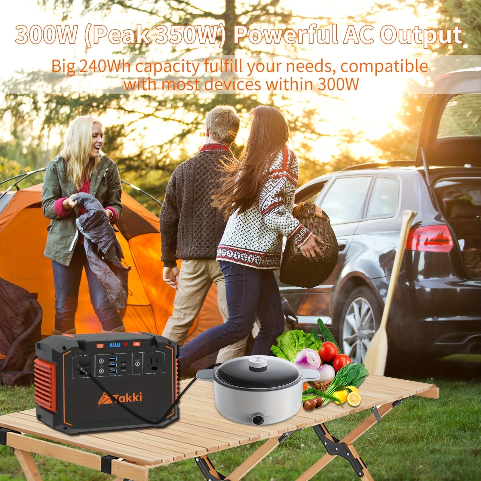 300W Portable Power Station with Solar Panel for Camping & Emergency