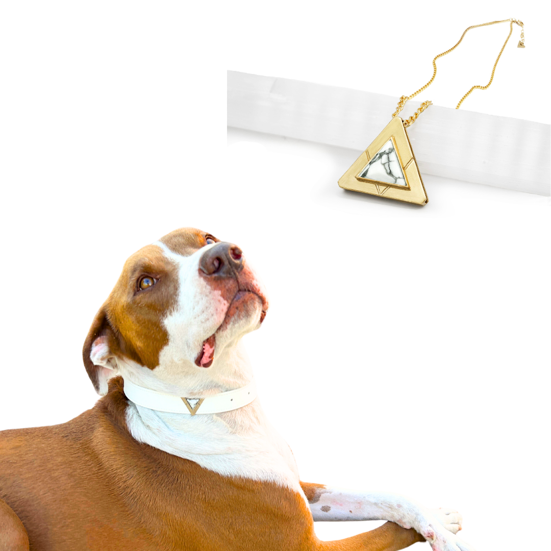 Starlight Howl Match Your Pet Gift Box Set