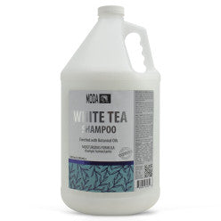 A gallon container of MODA White Tea Shampoo for professional hair care and hydration.
